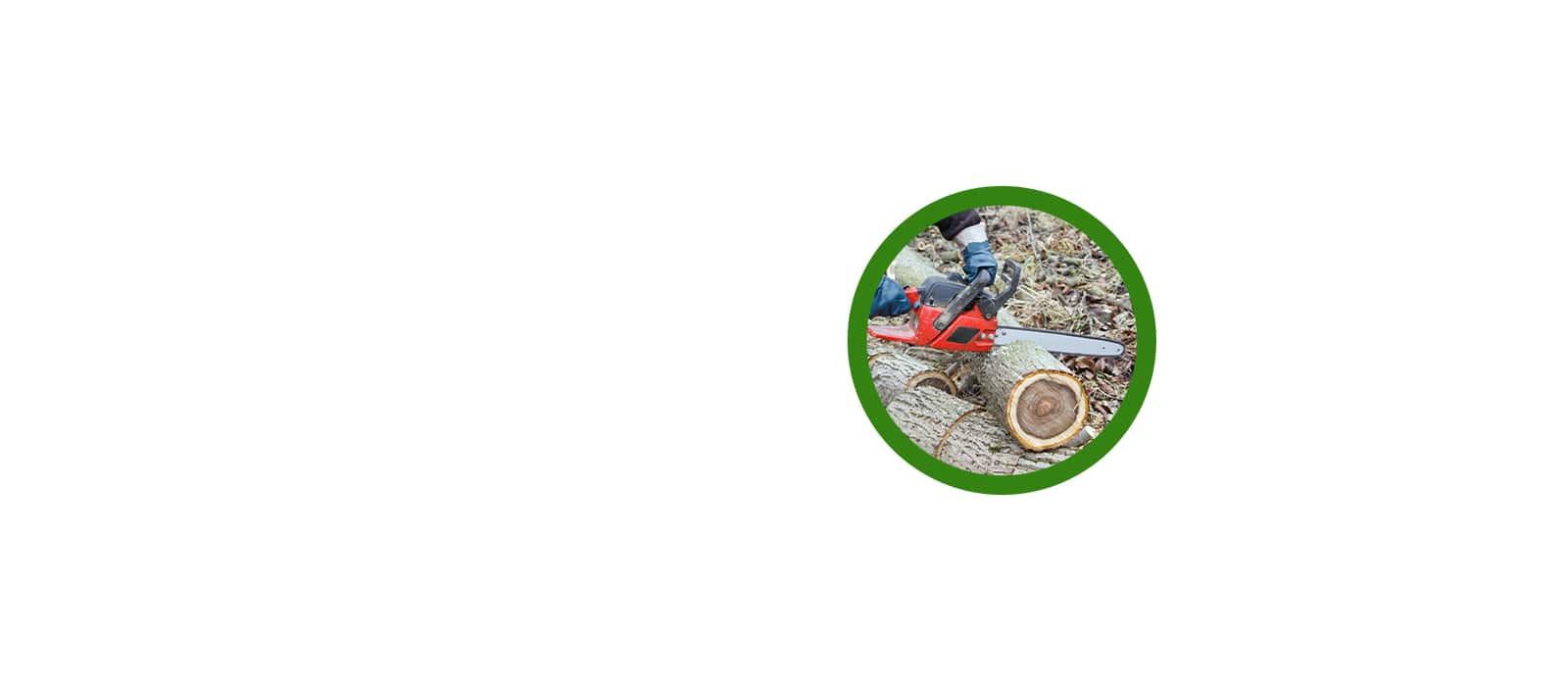 Completed tree care project in Dallas