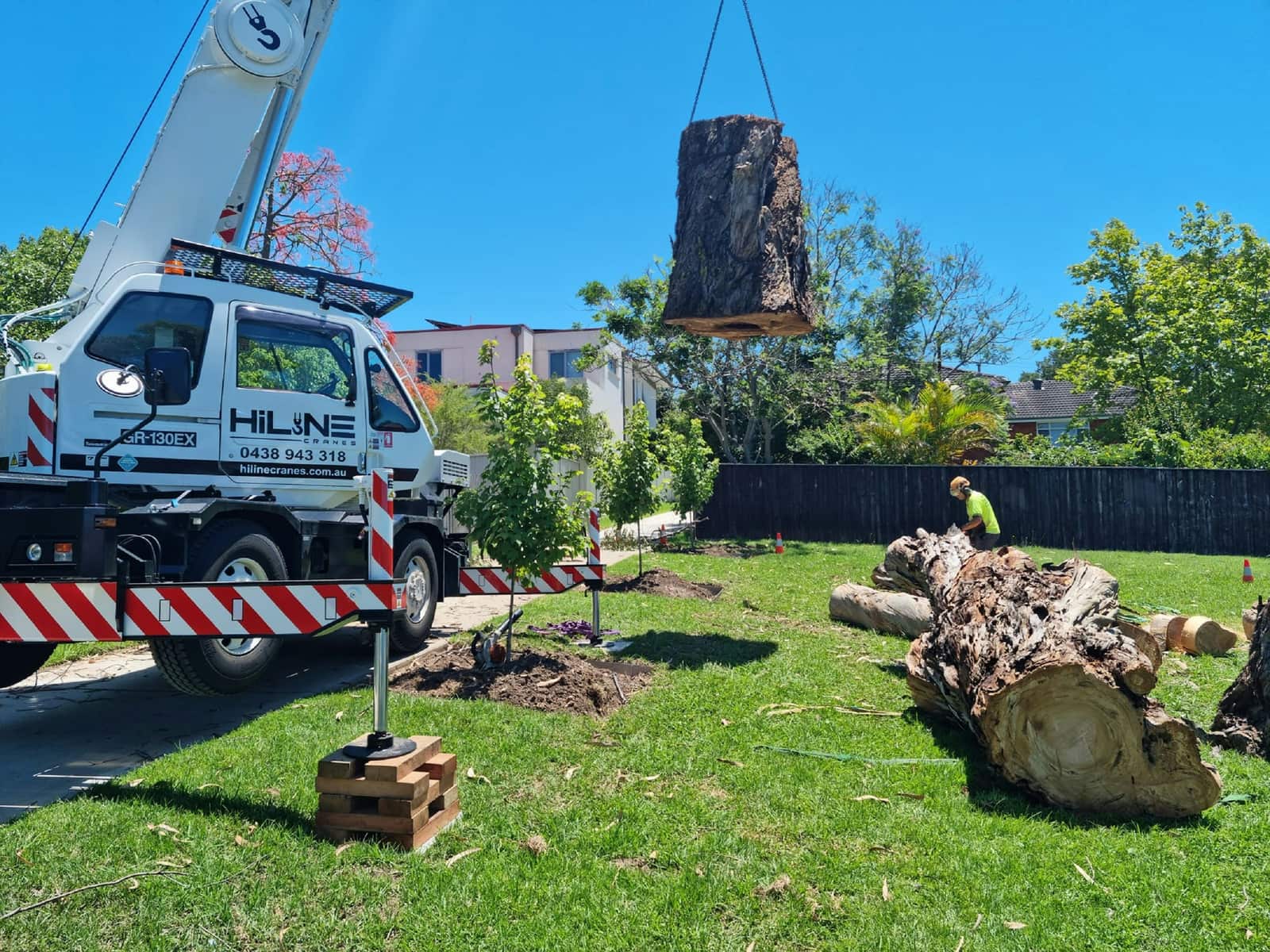 Tree work gallery